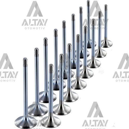 Nissan Almera Supap Takım Nissan Almera Supap Takım